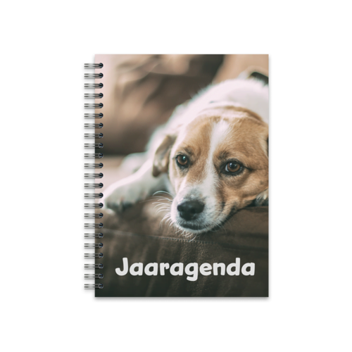 Jaaragenda A6 Staand Spiraal