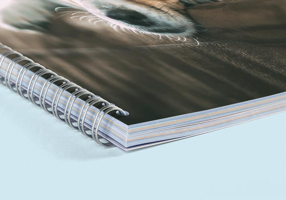 Jaaragenda Spiraal A6 Staand