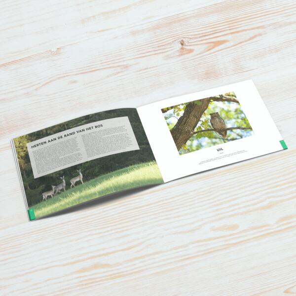 Sfeerfoto Tijdschrift A4 Liggend Sfeerfoto Tijdschrift A4 Liggend