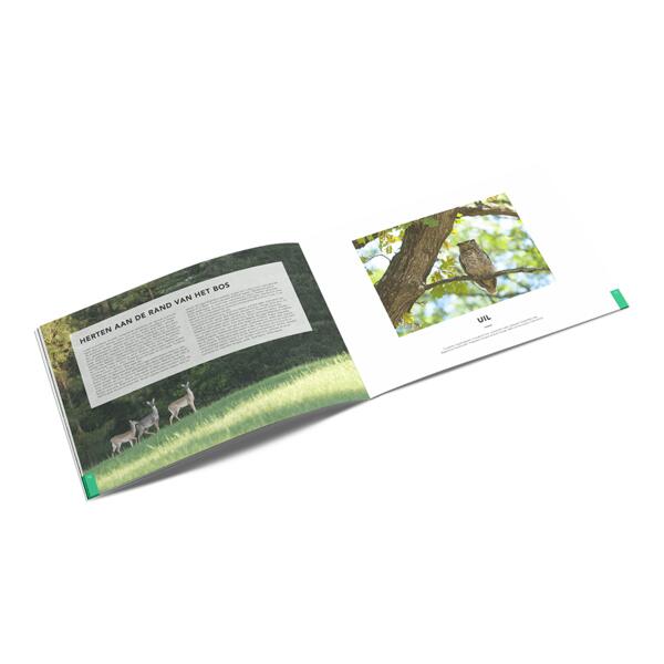 Tijdschrift A5 Liggend Openliggend Tijdschrift A5 Liggend Openliggend