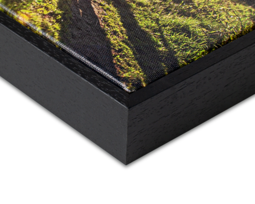 Canvas met lijst maken